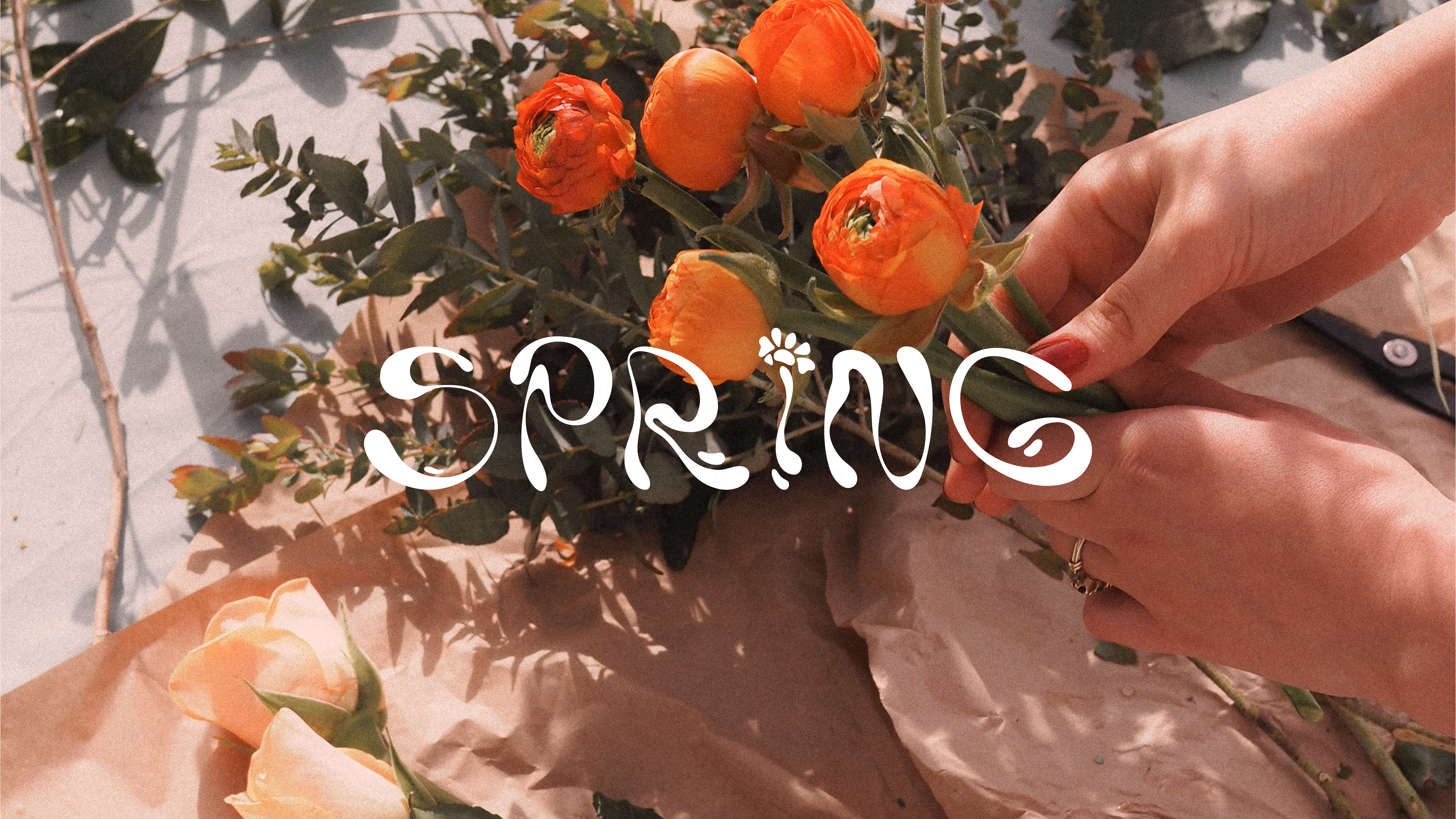 infographie_Spring_Plan de travail 1
