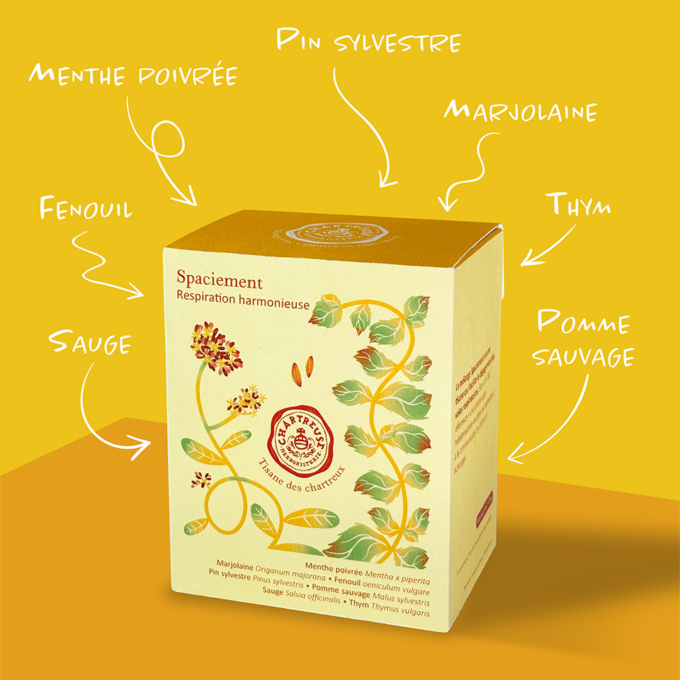 packaging jaune_tisanes des chartreux